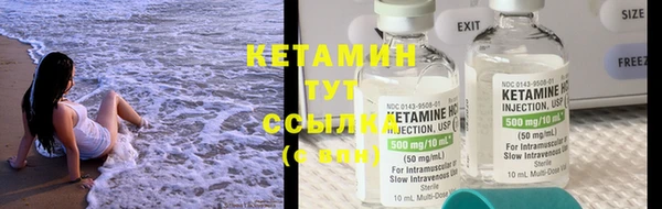 трава Наволоки