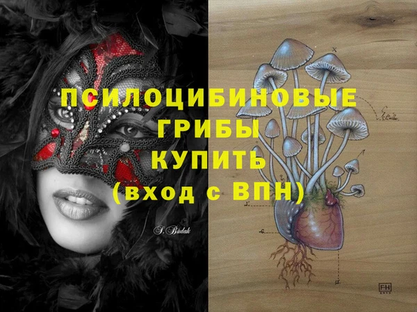 трава Наволоки