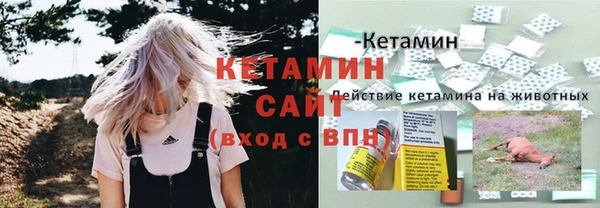 трава Наволоки