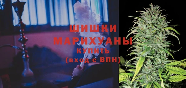 PSILOCYBIN Заводоуковск