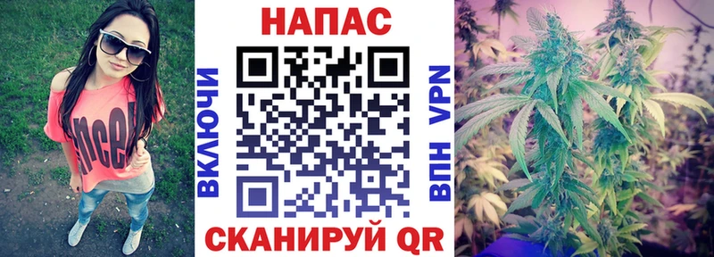 Бошки Шишки OG Kush Костомукша